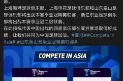 leyu app-转会期山东泰山调整名单以备法国杯，伤情更新环节打磨，媒体盛赞，控场能力受关注的简单介绍-leyu app